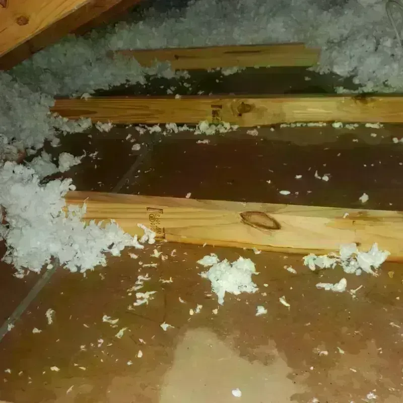 Attic Water Damage in East Hampton, NY